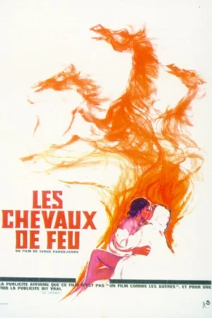 Photo 1 du film : Les Chevaux de feu