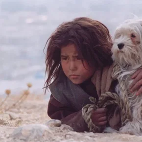Photo du film : Chiens égarés