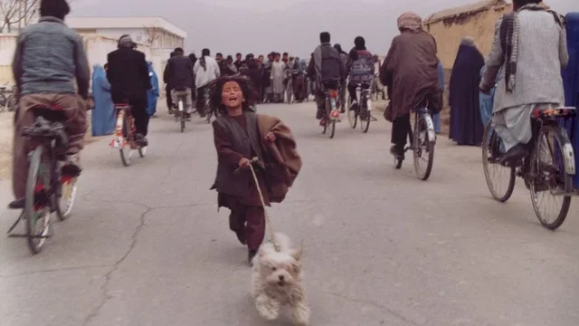 Photo 10 du film : Chiens égarés