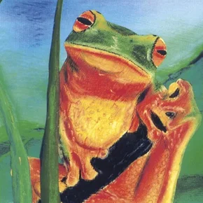 Photo du film : Les contes des animaux