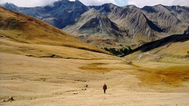 Photo du film : La cage