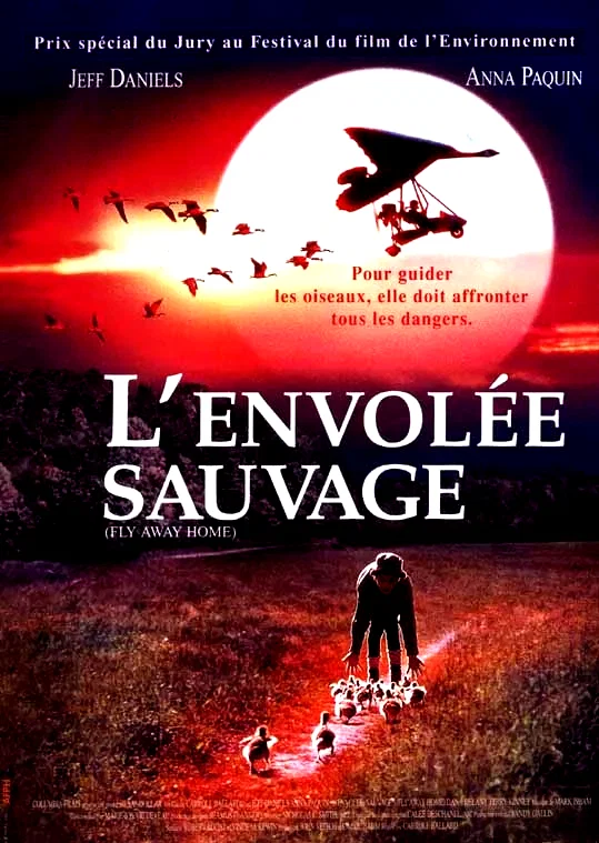 Affiche du film : L'envolee sauvage