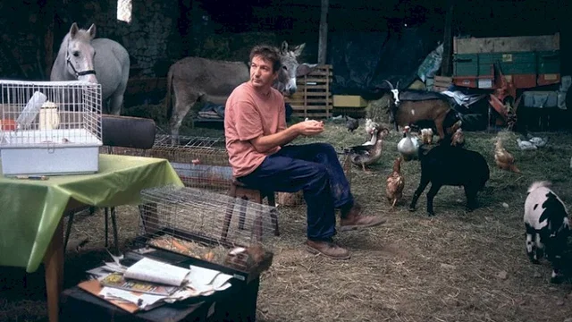 Photo du film : La fin du regne animal