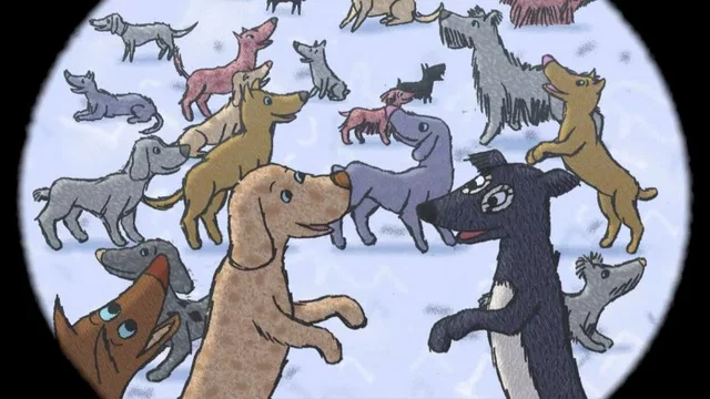 Photo du film : Le chien, le général et les oiseaux
