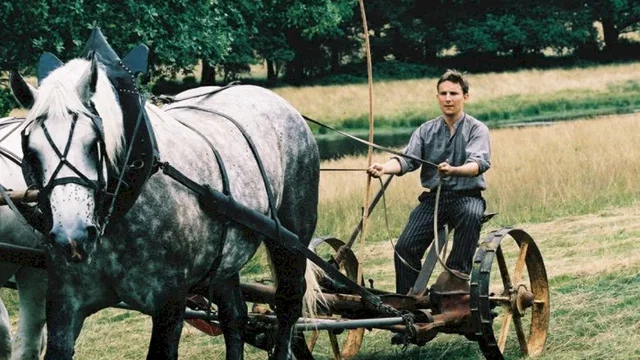 Photo du film : Le temps des porte-plumes