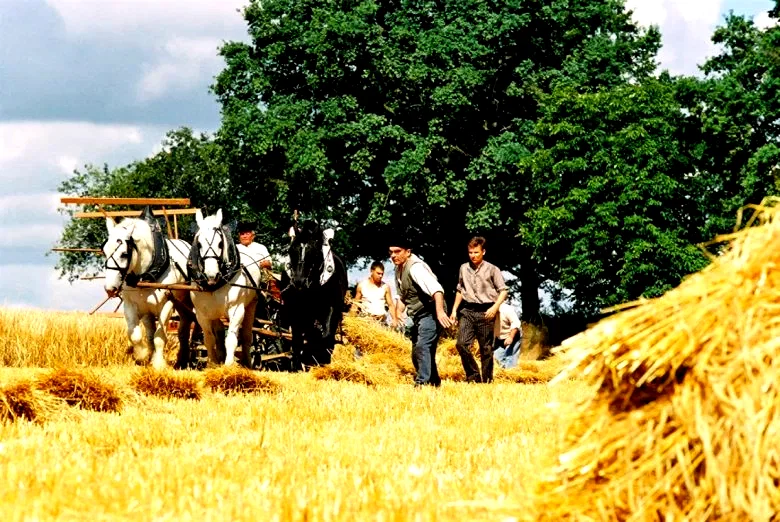 Photo 15 du film : Le temps des porte-plumes