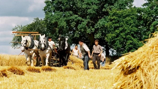 Photo du film : Le temps des porte-plumes