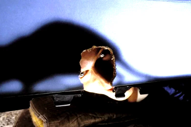 Photo 12 du film : Willard
