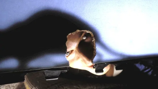 Photo du film : Willard