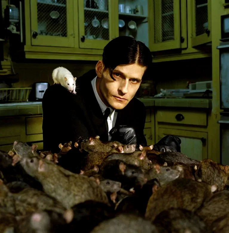 Photo 17 du film : Willard