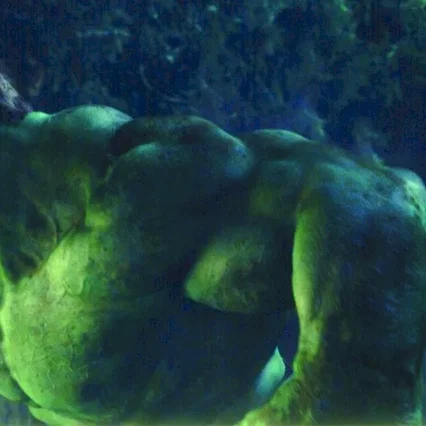 Miniature photo du film : Hulk