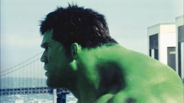 Photo 11 du film : Hulk