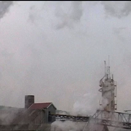 Miniature photo du film : Les sucriers de colleville