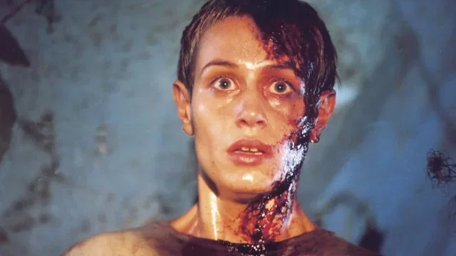 Photo du film : Haute tension