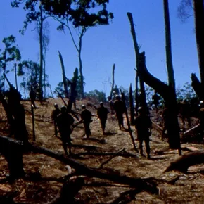 Photo du film : La ligne rouge