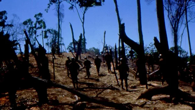 Photo du film : La ligne rouge