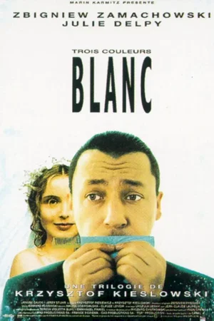 Affiche du film : Trois couleurs : blanc