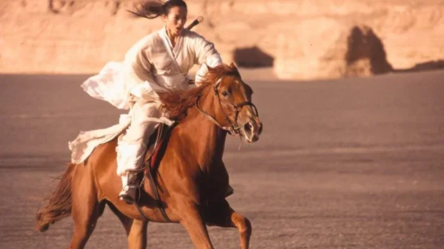 Photo du film : Hero
