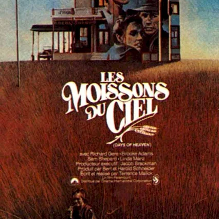 Miniature photo du film : Les moissons du ciel