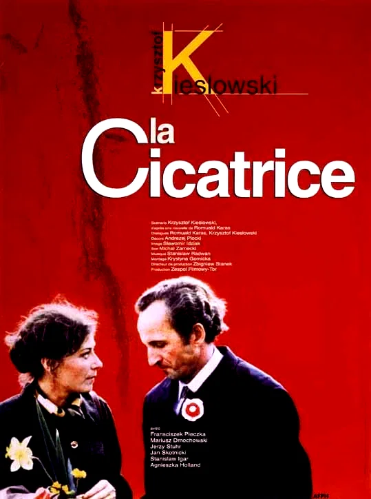 Affiche du film : La cicatrice