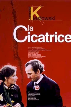 Affiche du film La cicatrice