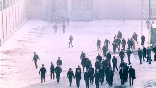 Photo du film : La cicatrice