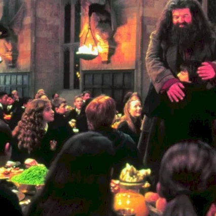 Miniature photo du film : Harry Potter et la chambre des secrets