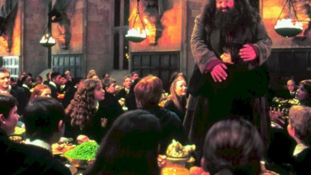 Photo du film : Harry Potter et la chambre des secrets