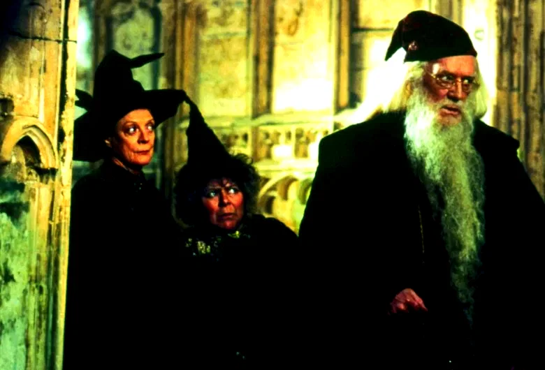 Photo 5 du film : Harry Potter et la chambre des secrets