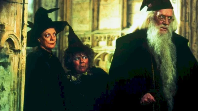 Photo du film : Harry Potter et la chambre des secrets