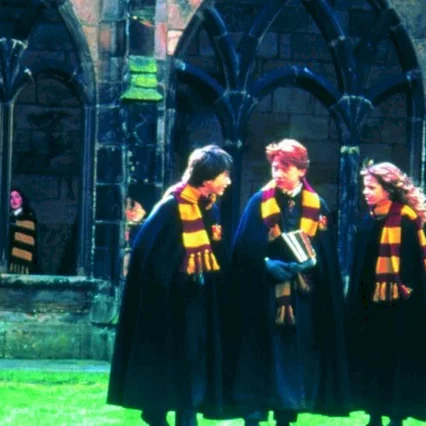 Miniature photo du film : Harry Potter et la chambre des secrets