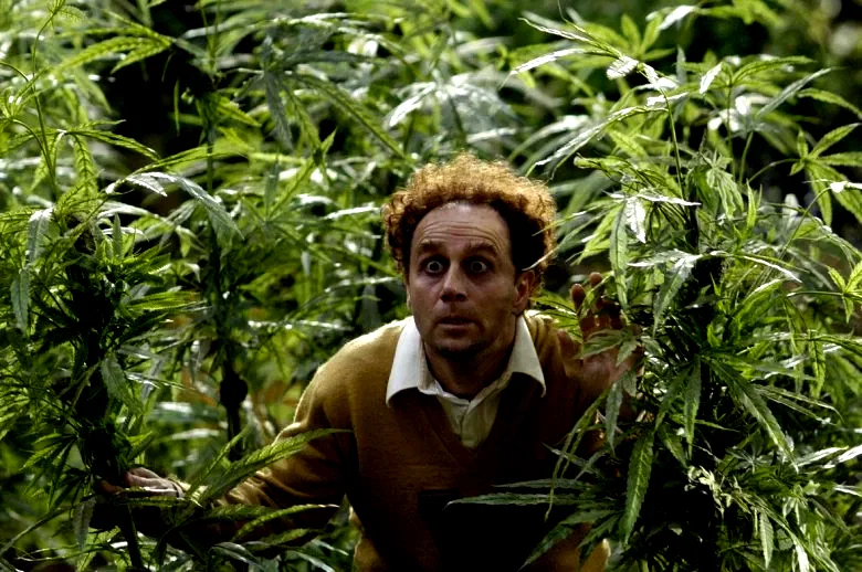 Photo 2 du film : Reefer madness
