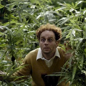 Photo du film : Reefer madness