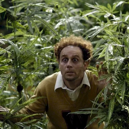 Miniature photo du film : Reefer madness