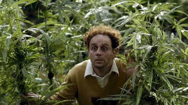 Photo du film : Reefer madness