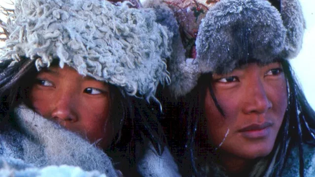 Photo du film : Himalaya (l'enfance d'un chef)