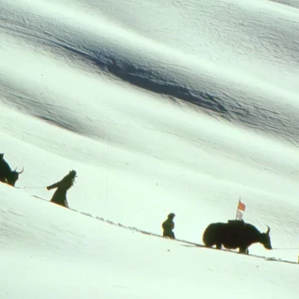 Miniature photo du film : Himalaya (l'enfance d'un chef)
