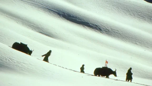 Photo du film : Himalaya (l'enfance d'un chef)