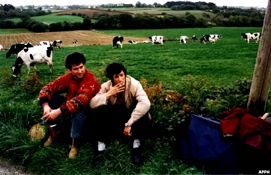 Photo 3 du film : Western