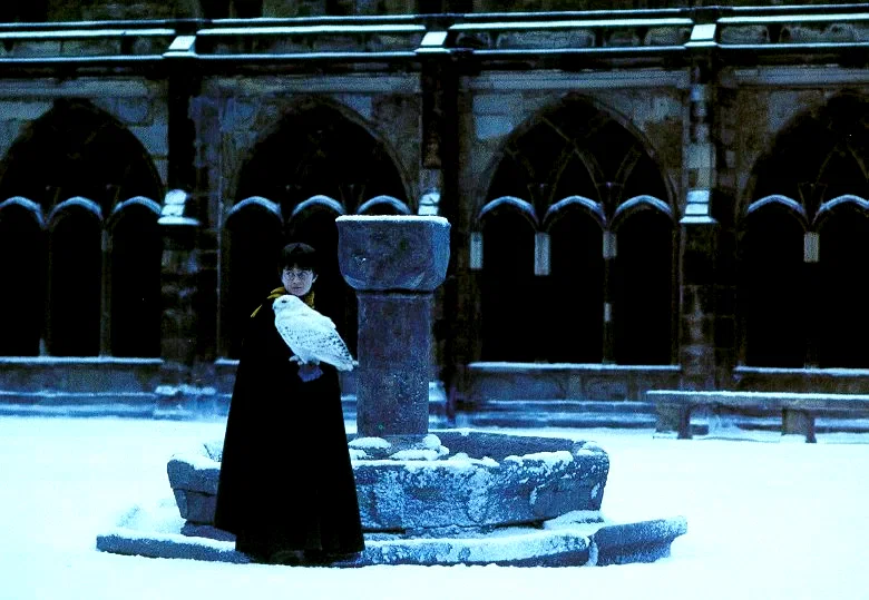 Photo du film : Harry Potter à l'école des sorciers