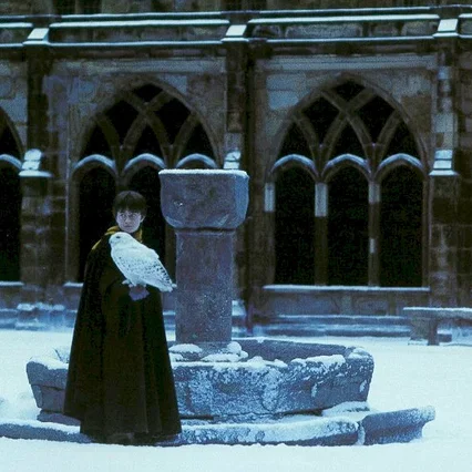 Miniature photo du film : Harry Potter à l'école des sorciers