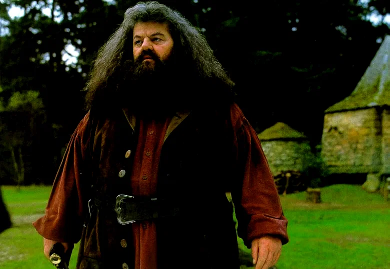 Photo du film : Harry Potter à l'école des sorciers
