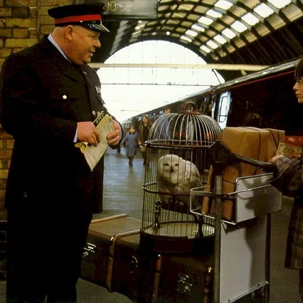 Miniature photo du film : Harry Potter à l'école des sorciers
