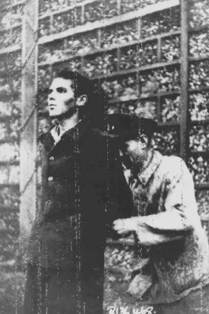 Photo 2 du film : La delation sous l'occupation