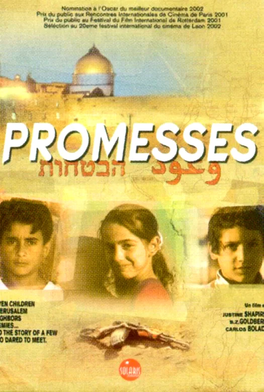 Affiche du film : Promesses
