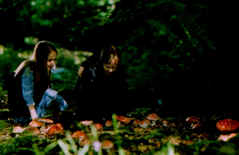 Photo du film : Le Mystère Des Fées (Une Histoire Vraie)