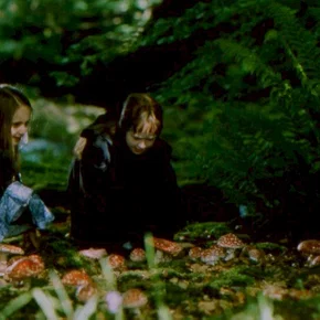 Photo du film : Le Mystère Des Fées (Une Histoire Vraie)