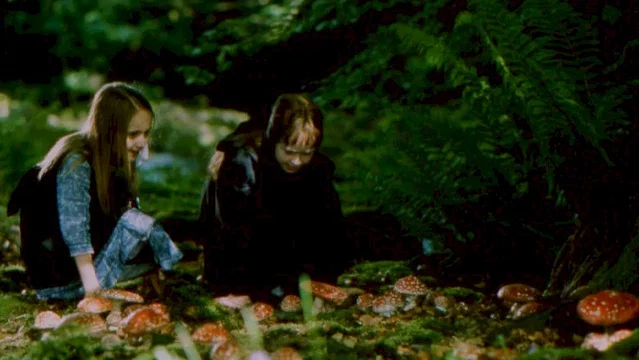 Photo 2 du film : Le Mystère Des Fées (Une Histoire Vraie)