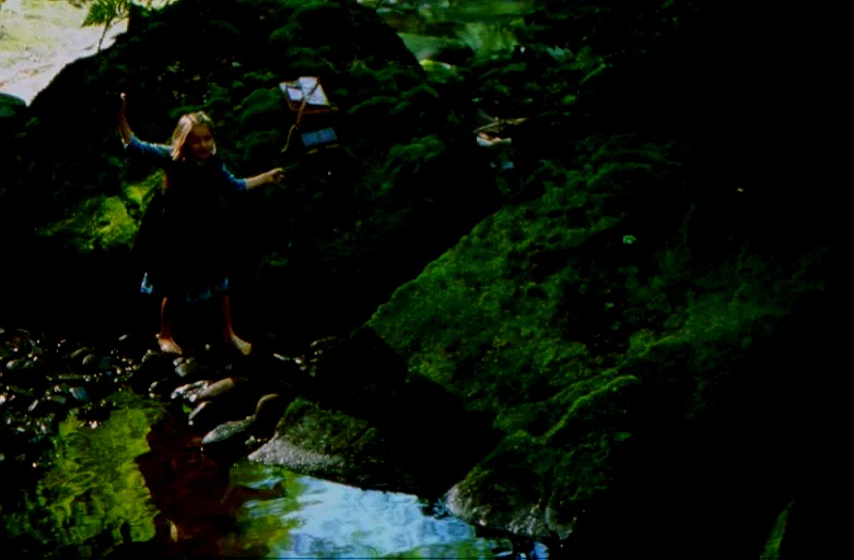 Photo du film : Le Mystère Des Fées (Une Histoire Vraie)