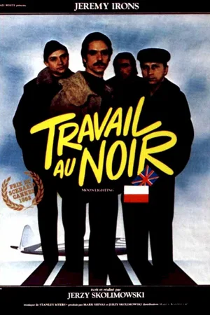 Photo 11 du film : Travail au noir